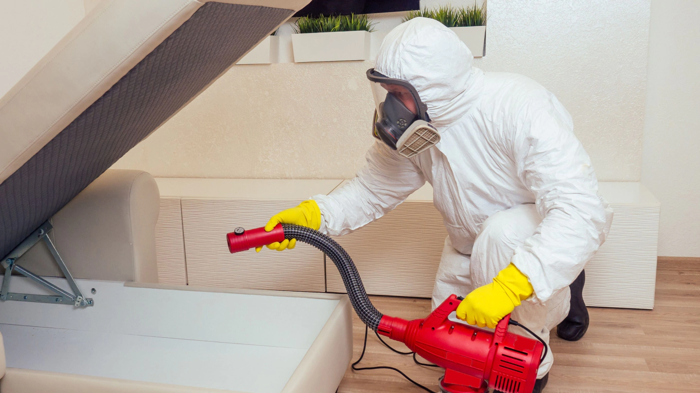 pest control worker spraying furniture